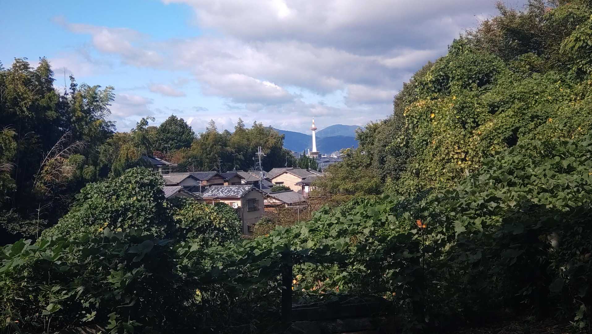京都タワーが見えました