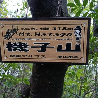 北尾根コース