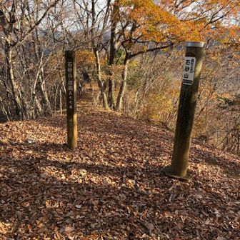 石砂山登頂！落ち葉多めでした🍂