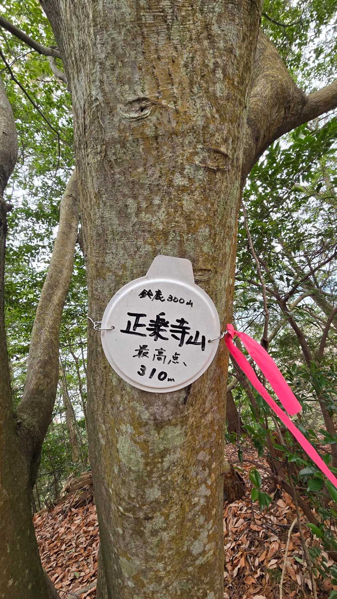 正楽寺山-本堂山 往復コースの写真