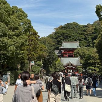 鶴岡八幡宮に着きました