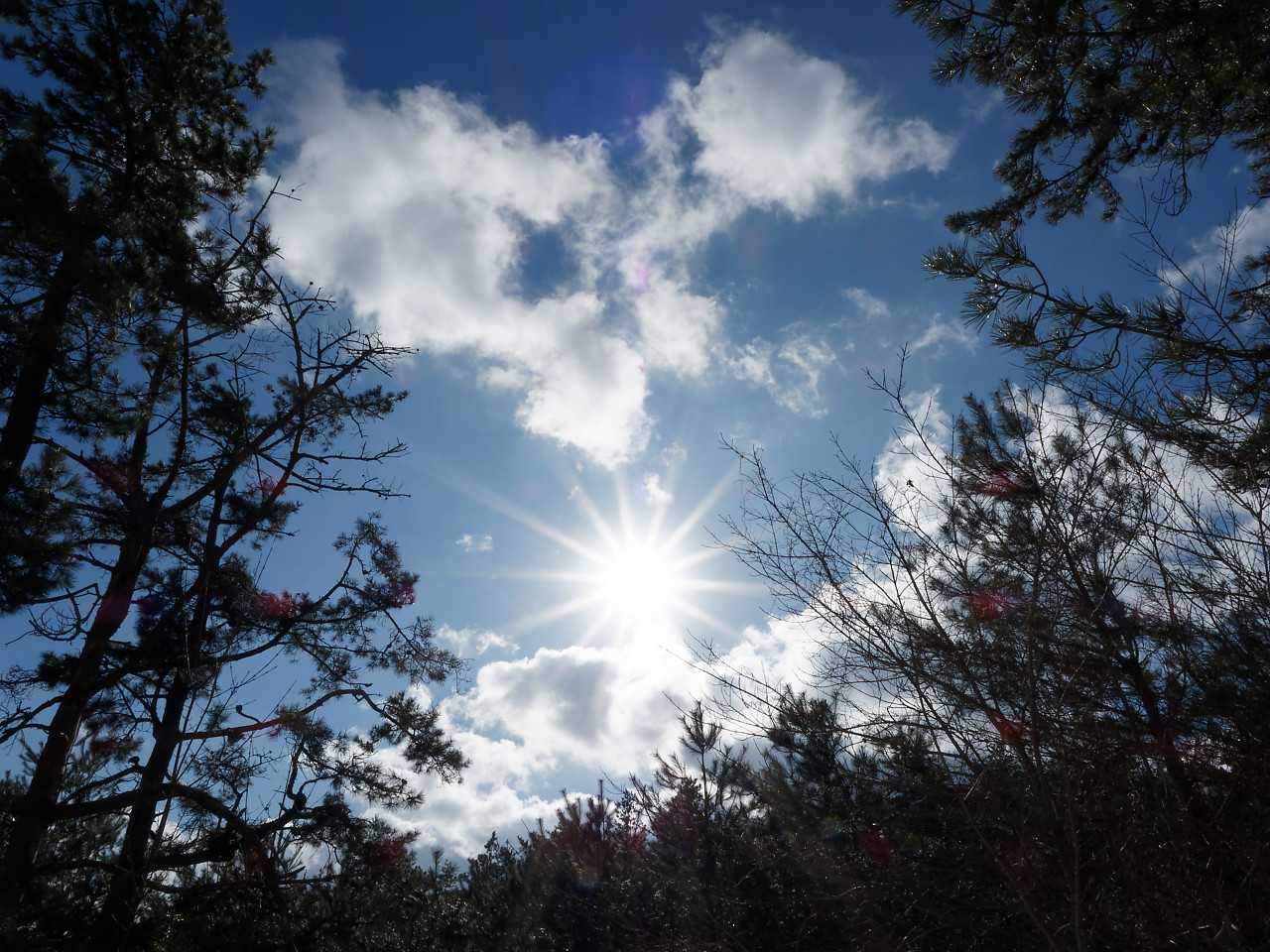 天気は抜群