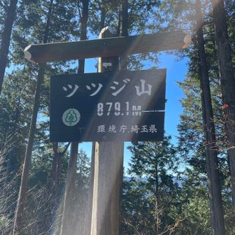 ようやく撮ったぁ〜😆