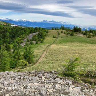 物見石山からの下り道。