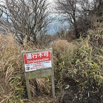 ここにはちゃんと通行不可の看板が