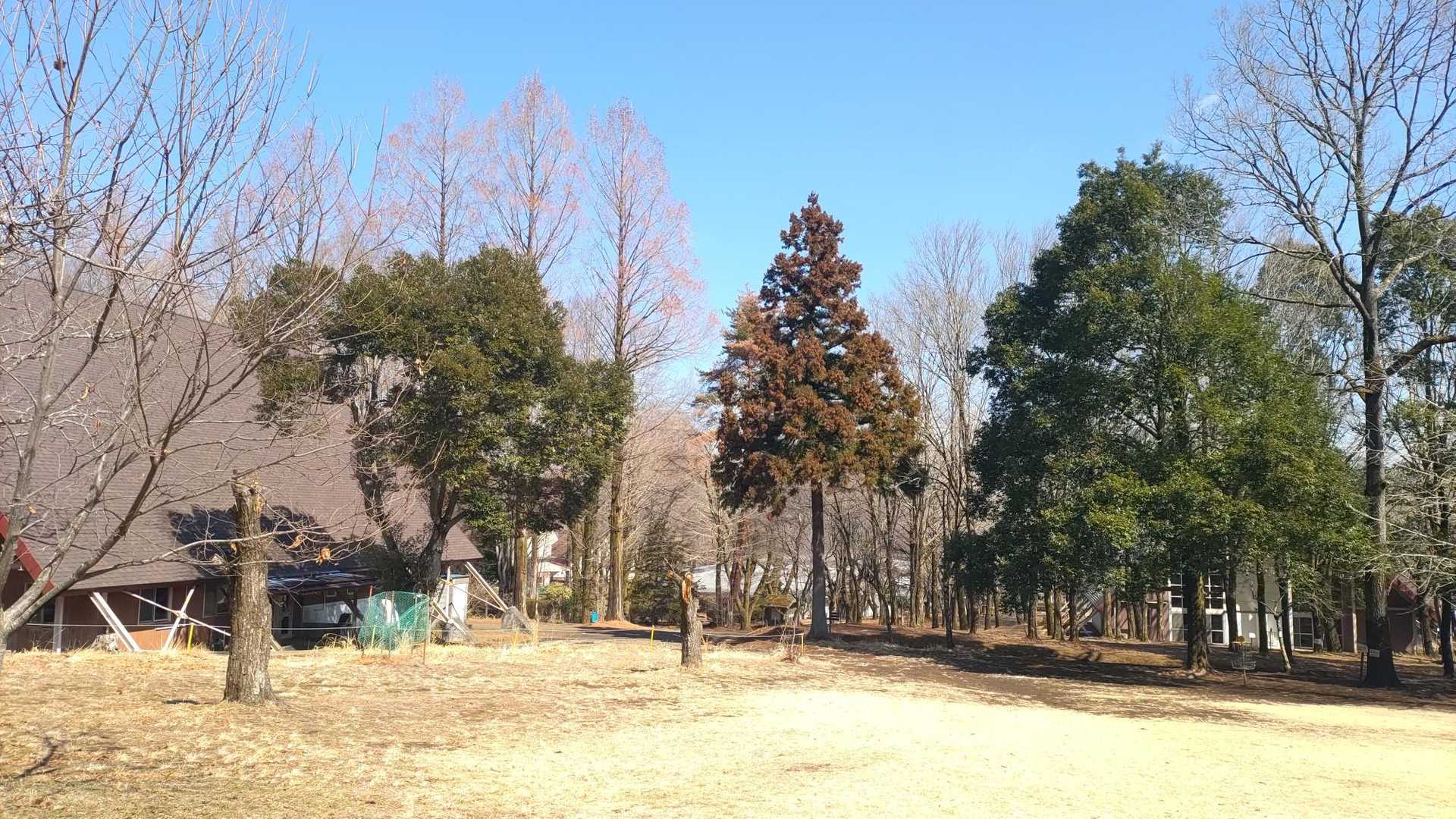 愛川ふれあいの森から登ります。超絶大きい施設で宿泊施設が多数。

神奈川在住のお子さんはここで、学校主催のお泊りイベントやってるのかも。