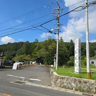 本日2本目の雲興寺💙