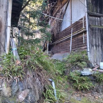 この民家の間の道を通ります