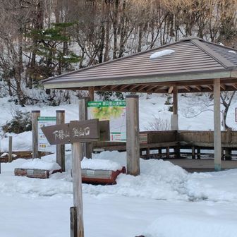 下山完了
6時間も掛かってる😱