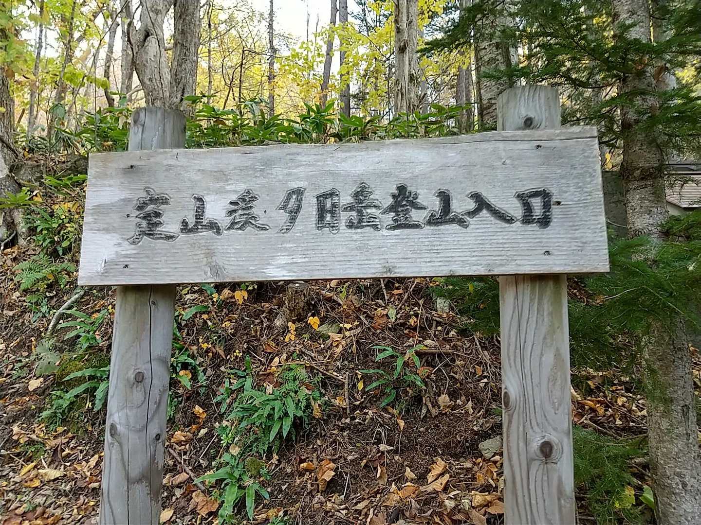 出発します。🙋
