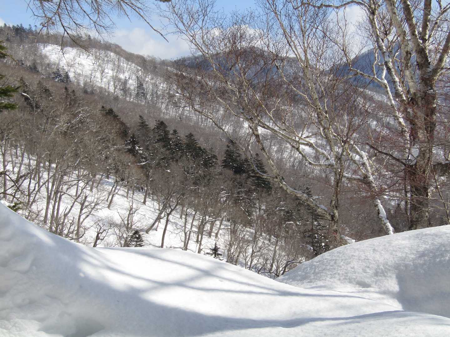 いい天気です。