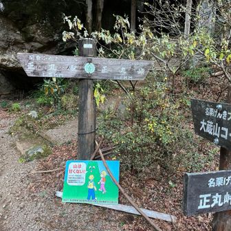 正丸峠コースへ