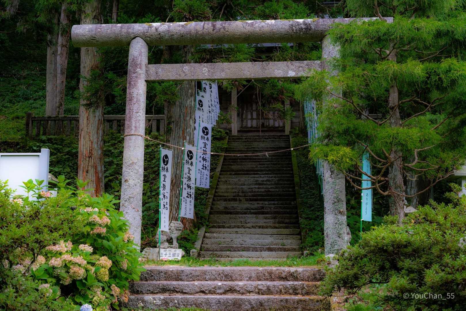 あぁそうそう。
今回山歩きでの撮影ではなるべくキレイに
森の妖精を写したいと思ったので、
24枚目から52枚目までの29枚は
ズームレンズではなく50mmの単焦点レンズを
使っています。

ワイドもズームも出来ないので不便だけど、
単焦点はやっぱり写りにキレがあっていいな😊