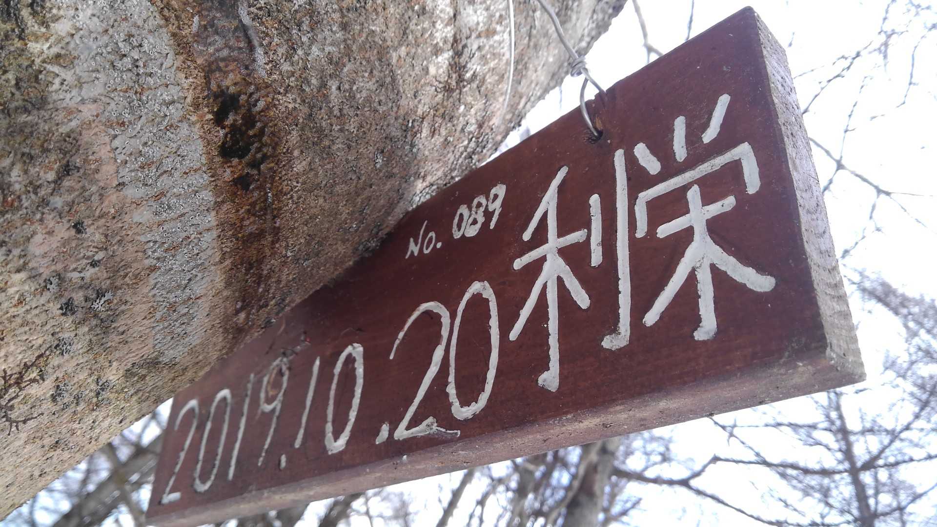 白銀山（岩手県）の写真