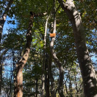 山名の板が高い所にある