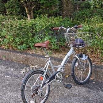 さてと･･いつもの帰り5km🚴💨
そしてMAC農園の作業が少々🧑‍🌾