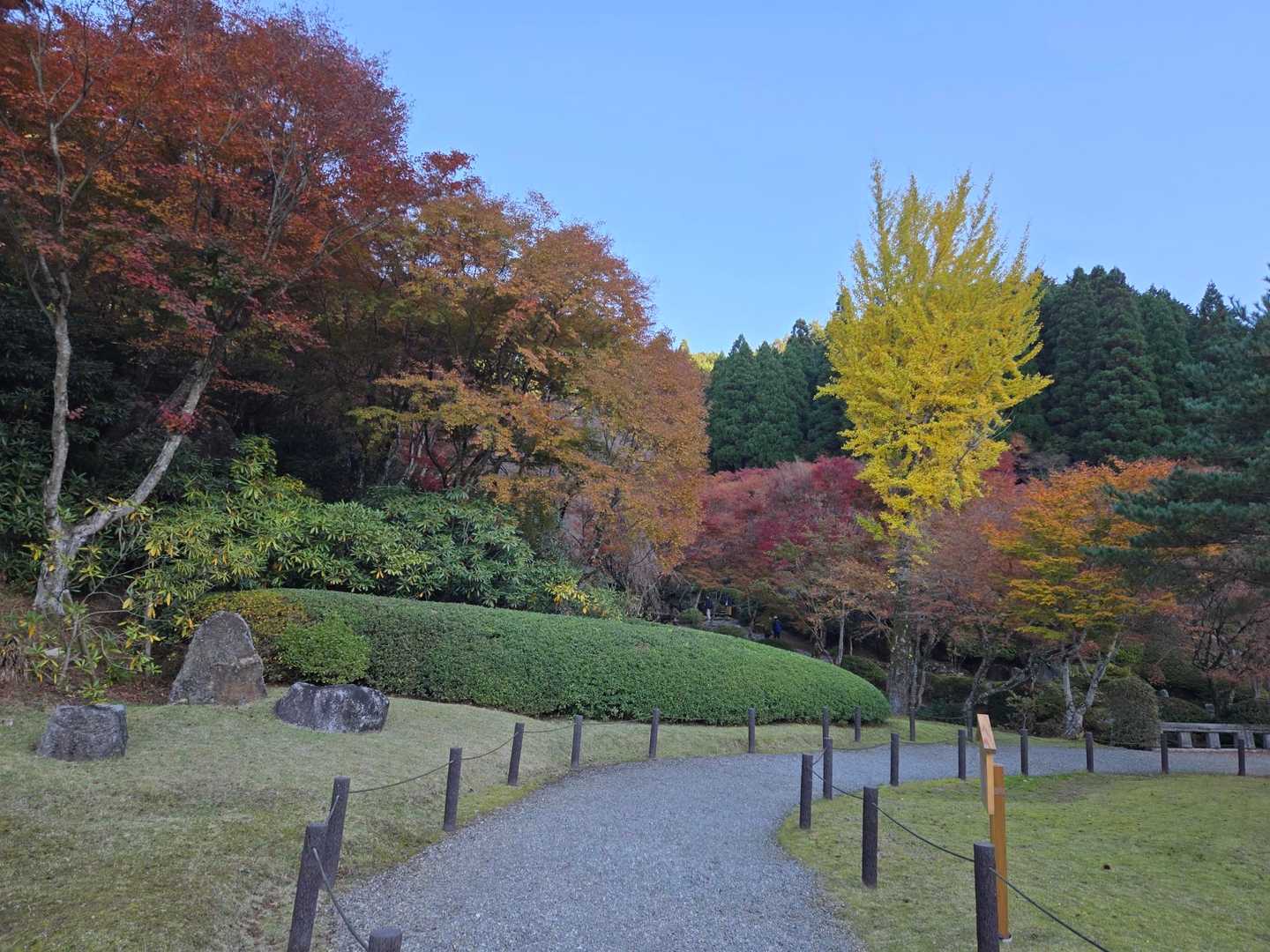 玉屋神社登山口-英彦山 往復コースの写真
