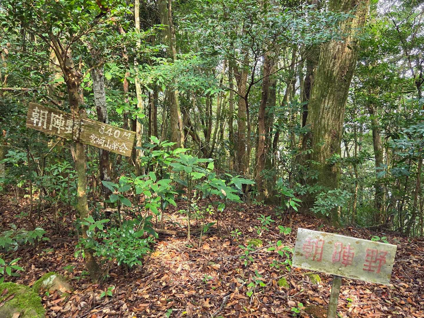 山頂