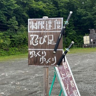 近くにちびっこ忍者村があるようです🥷
