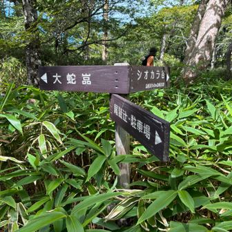 大蛇嵓へ向かいます。