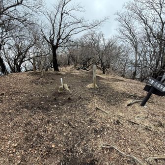 大室山山頂にはたくさん掲示板があります。