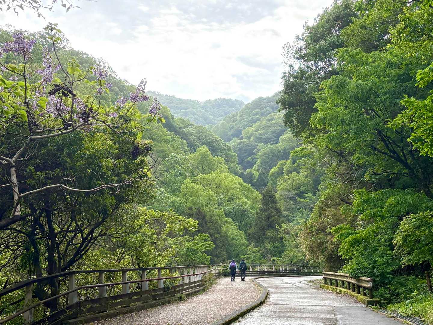 静けさもある登山道の朝はリフレッシュできますよね🌿