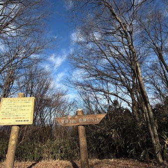 高峯山頂には山名板がありません