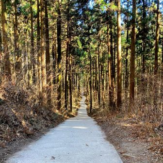 登山口まで降りて来ました♪
地味に疲れる苦手な舗装路