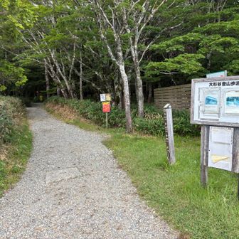 綺麗な登山口