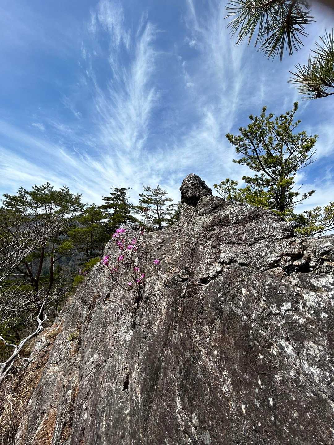 鹿の背の左手には更に岩ゴツゴツ🪨
これ全部を渡ると思い込んでた💦