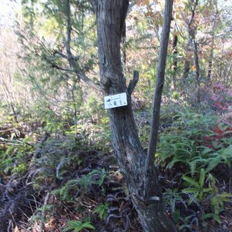 小竜王へ向かいます
もう大分お疲れ様でございます🥸