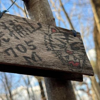 よく見る👀虎の絵