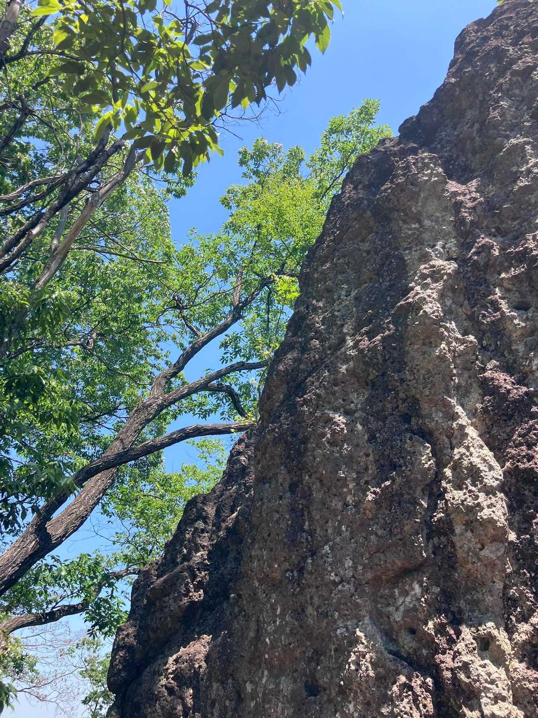 岩山 往復コースの写真