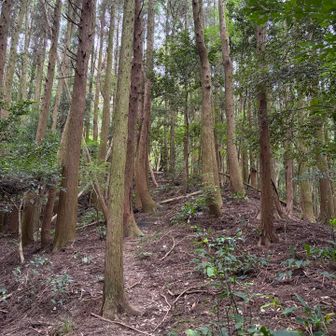 静か