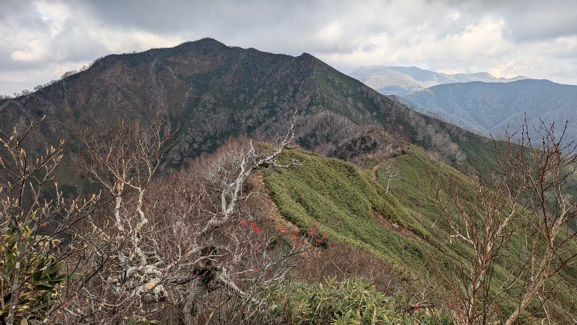 先へ進みます。