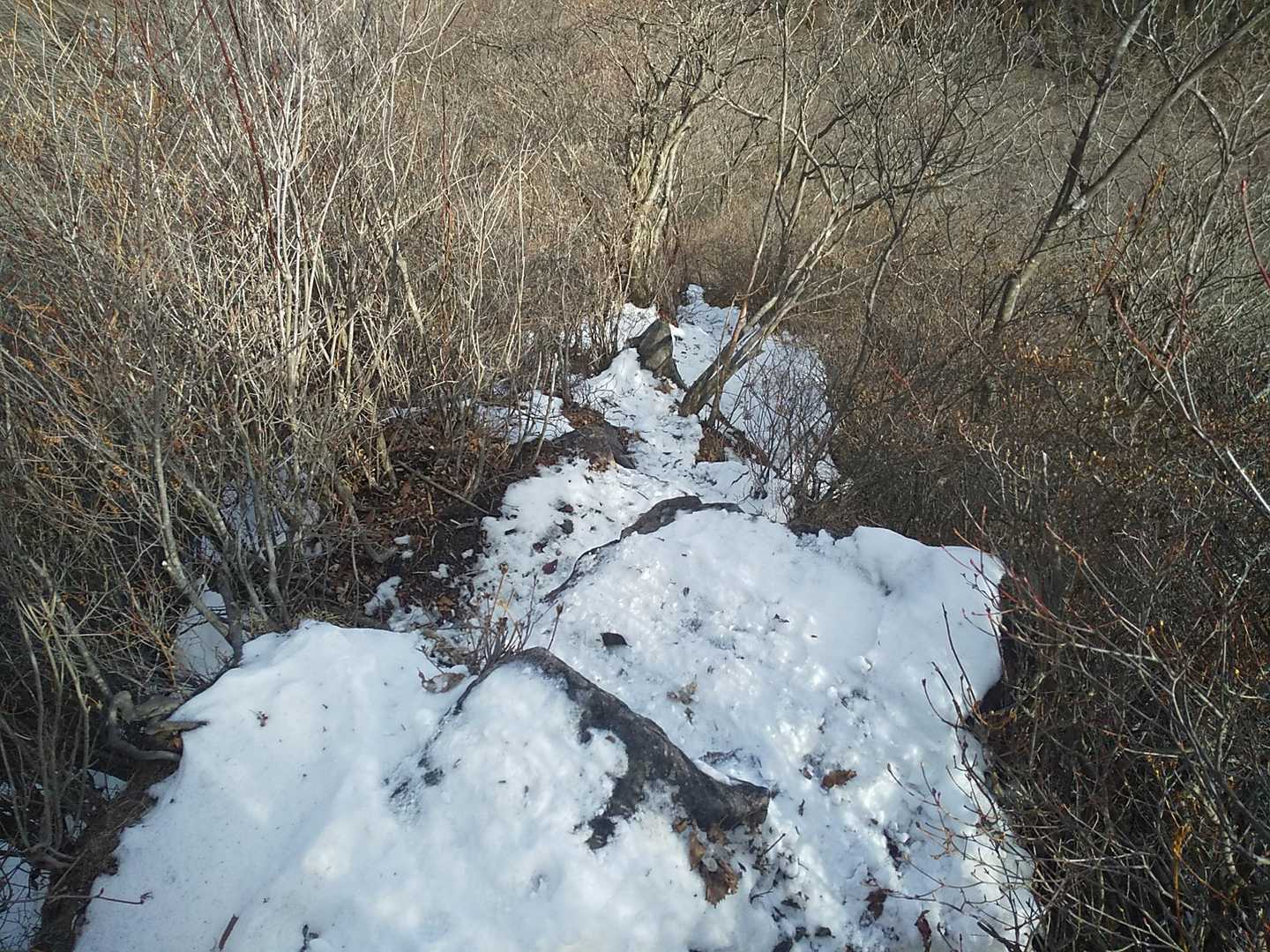 地蔵峠までの急勾配の下山道

