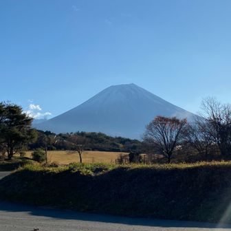yasu