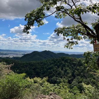 薬師前山から八木三山👀