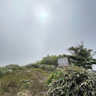 薄っすら🌞