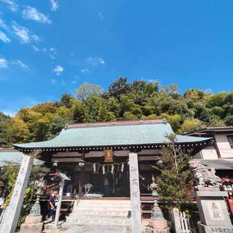 かなり立派な神社です