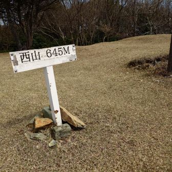 6座目とうちゃこ