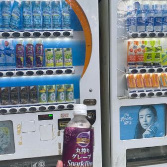 水２L持ってきましたが、たぶん足らないので、山頂付近の自販機で一本買うことに！
ポカリと悩んだ末に、グレープの炭酸ジュース
誘惑に負けました

