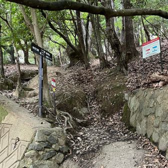 最後は一気に降って、ここで山道終わり🔚
若干、膝にきたような🦵💢