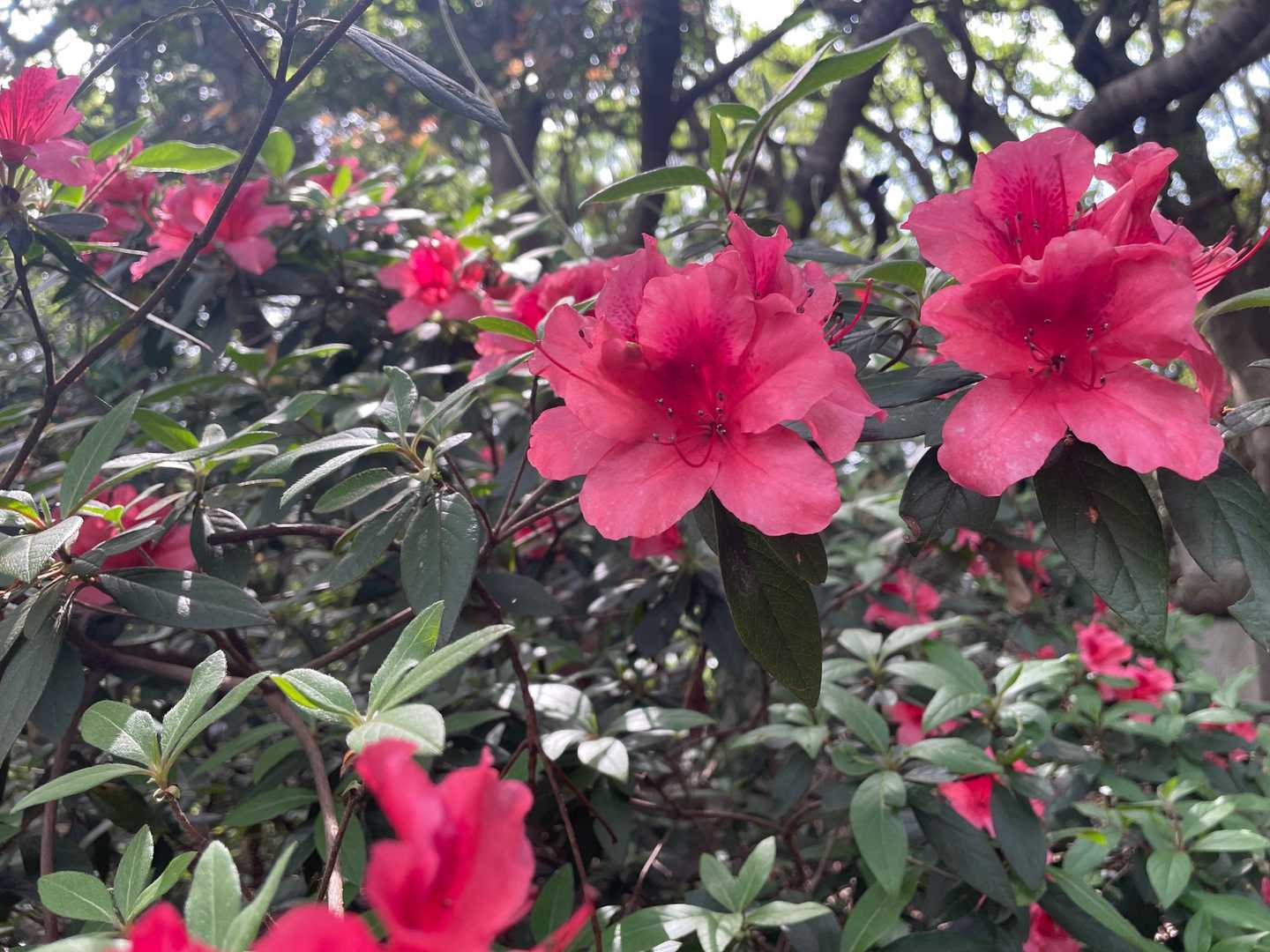 色があると気分違います😊
