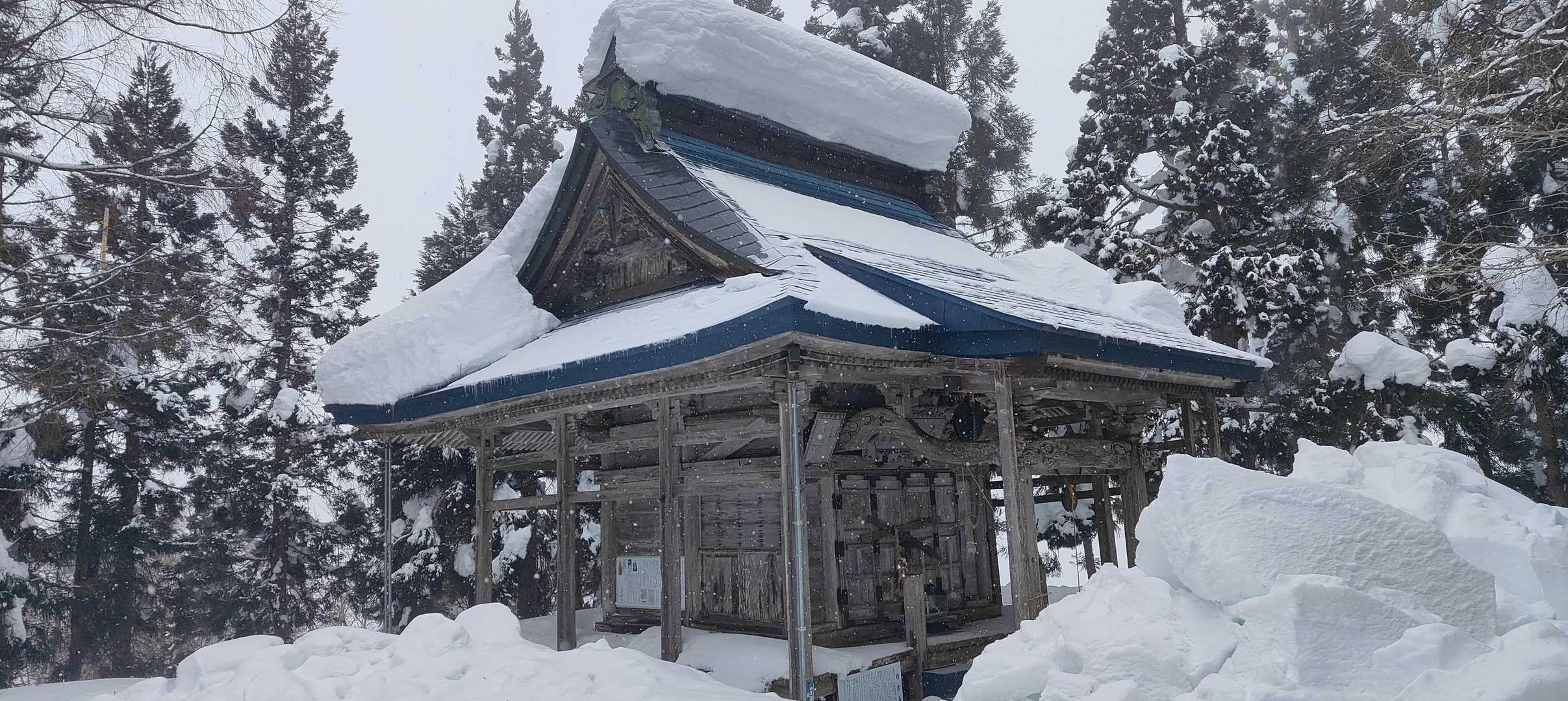 大平口-白鷹山 往復コースの写真