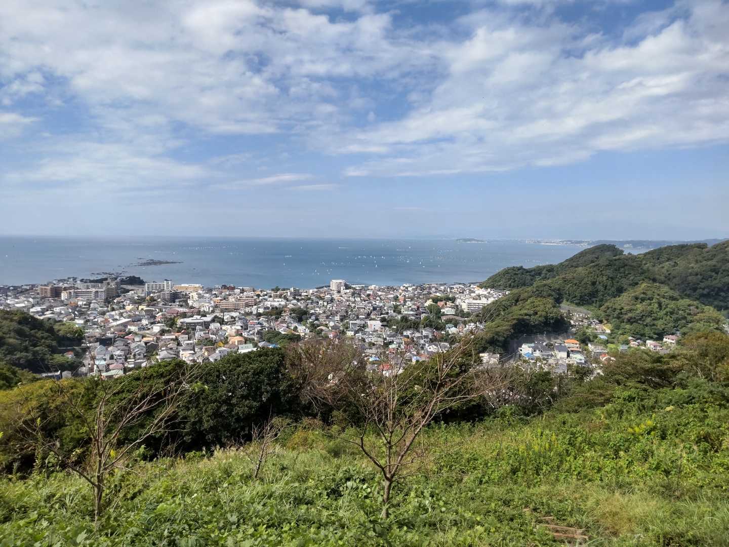 仙元山山頂からの眺め。