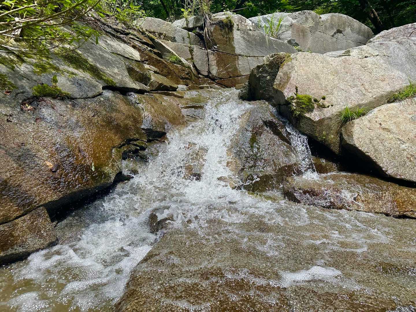 お水が冷たくて気持ちいい✨