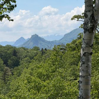 正面に神威岳、後ろに定山渓天狗岳、白樺の影に烏帽子岳です。