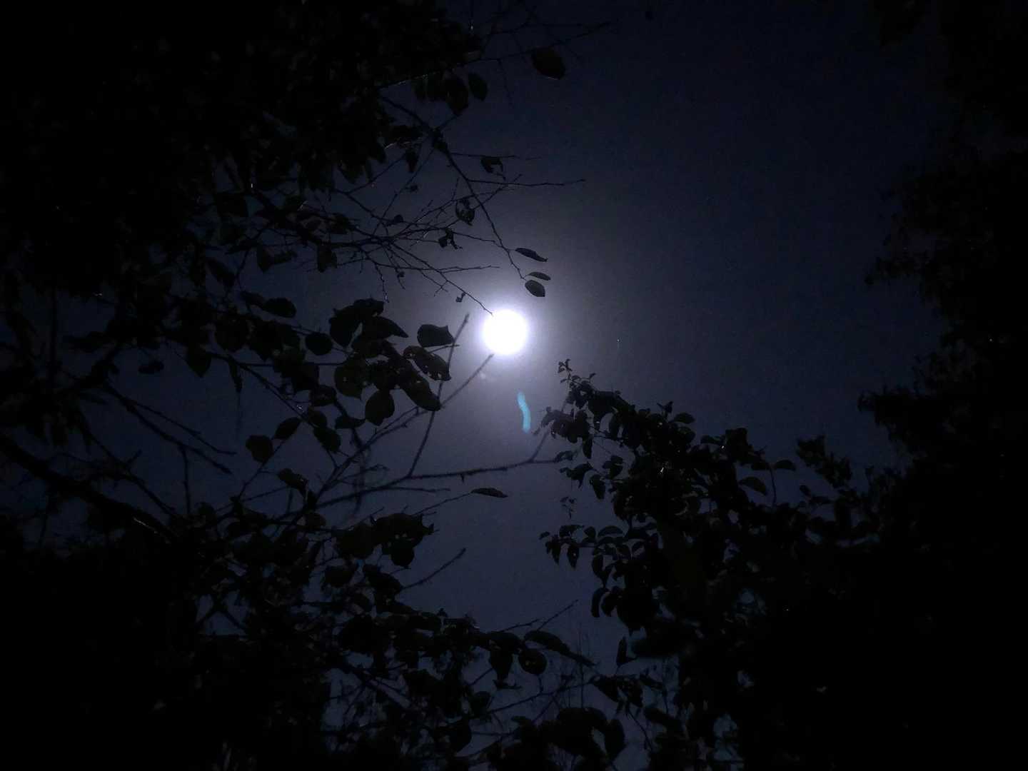 帰る時も何人かすれ違いました。今宵の高御位山はもう少しの間、賑わいそうです😌

最後までレポを読んで頂き、ありがとうございました😊お疲れ様でした😊