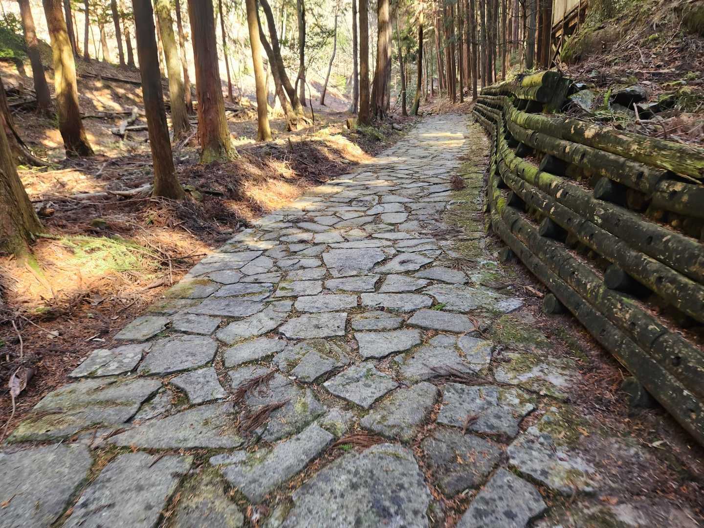 通宝寺山-小坪山 周回コースの写真